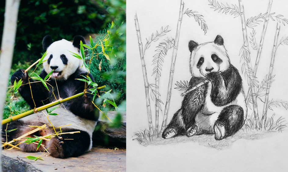 Detail Realistic Panda With Bamboo Drawing Nomer 16