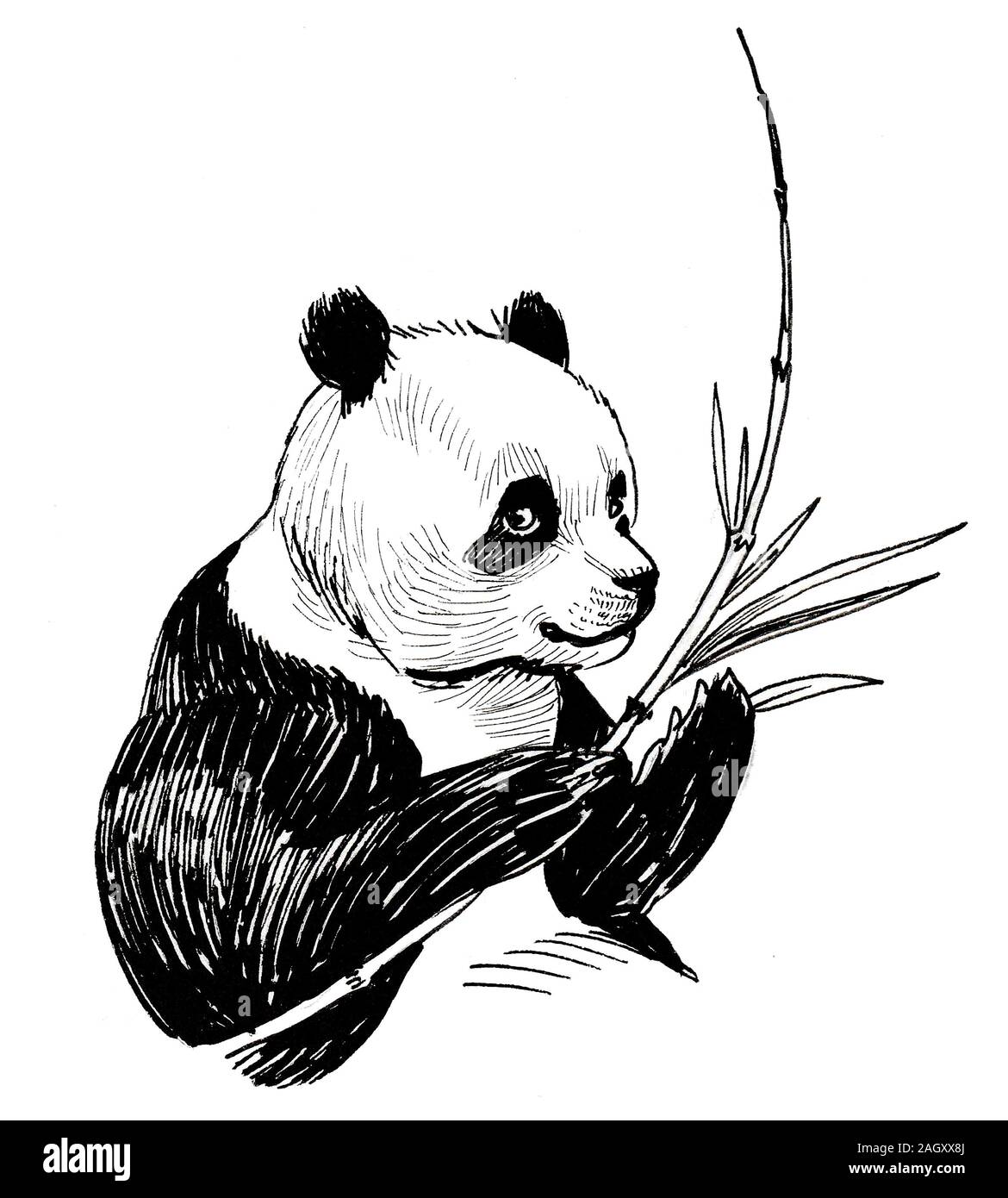 Detail Realistic Panda With Bamboo Drawing Nomer 50