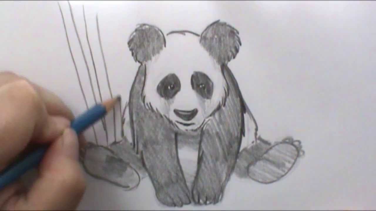 Detail Realistic Panda With Bamboo Drawing Nomer 54