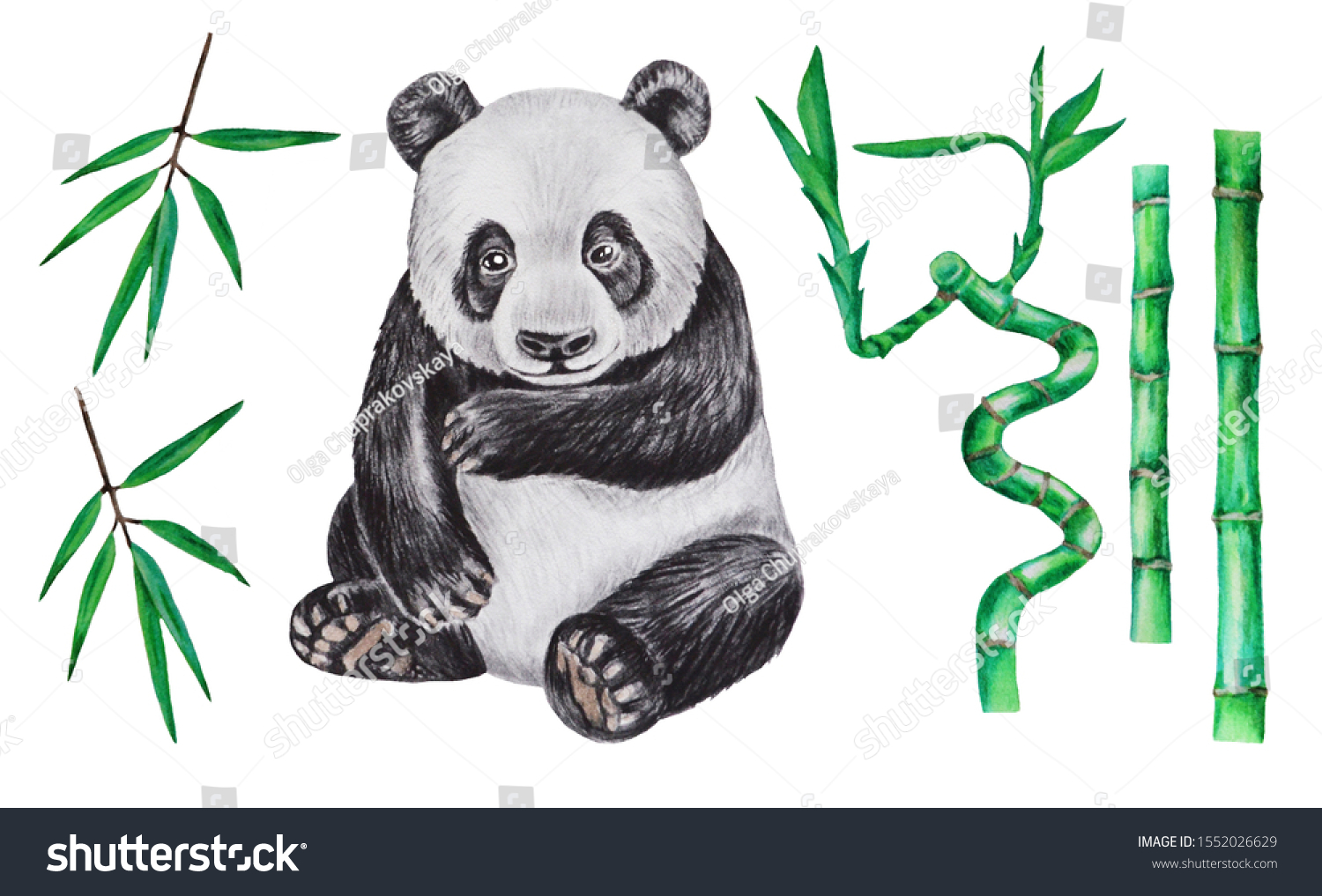 Detail Realistic Panda With Bamboo Drawing Nomer 7