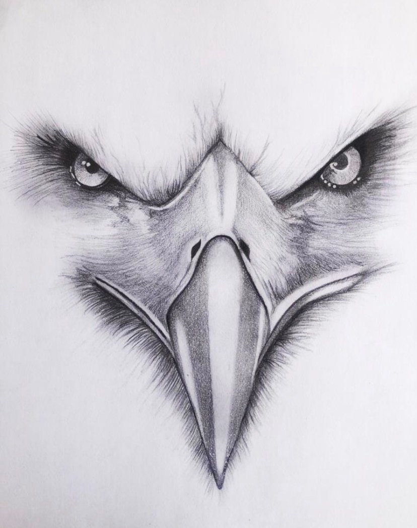 Detail Realistic Pencil Eagle Drawing Nomer 24