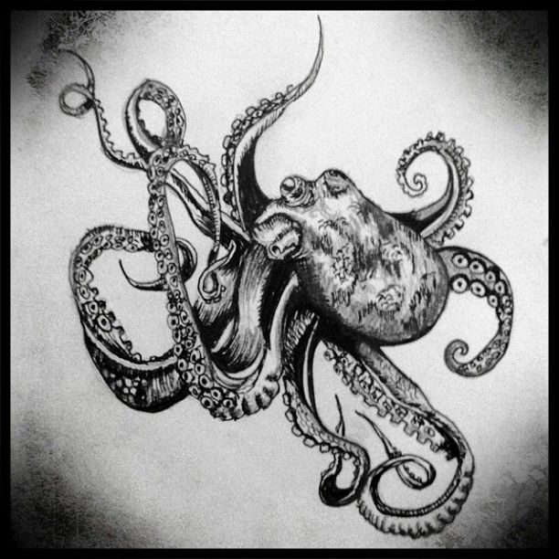 Detail Realistic Pencil Octopus Drawing Nomer 8