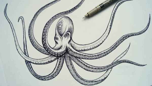 Detail Realistic Pencil Octopus Drawing Nomer 11