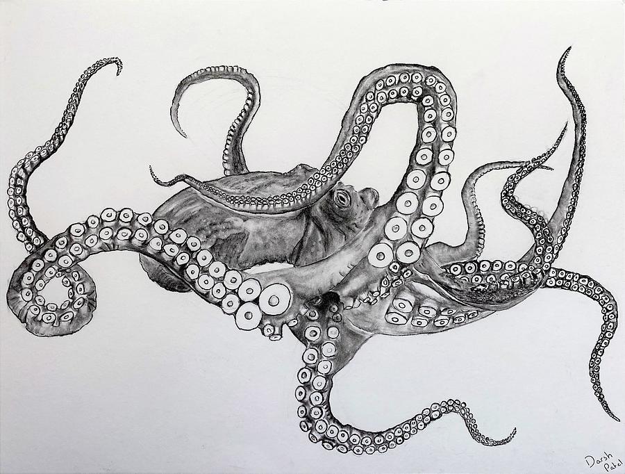 Download Realistic Pencil Octopus Drawing Nomer 15