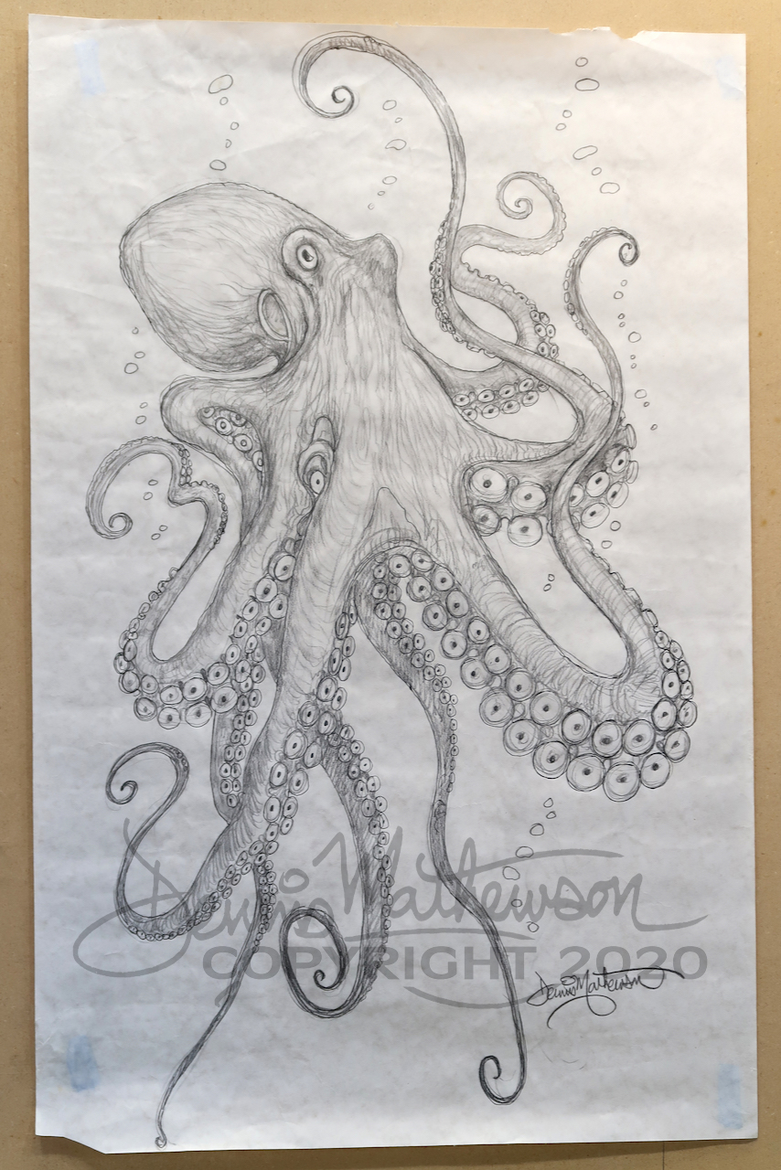Detail Realistic Pencil Octopus Drawing Nomer 23