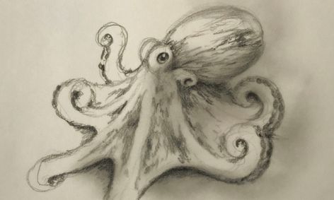 Detail Realistic Pencil Octopus Drawing Nomer 28