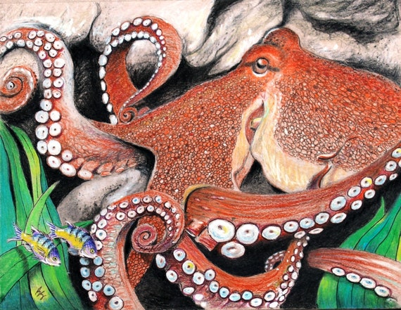 Detail Realistic Pencil Octopus Drawing Nomer 29