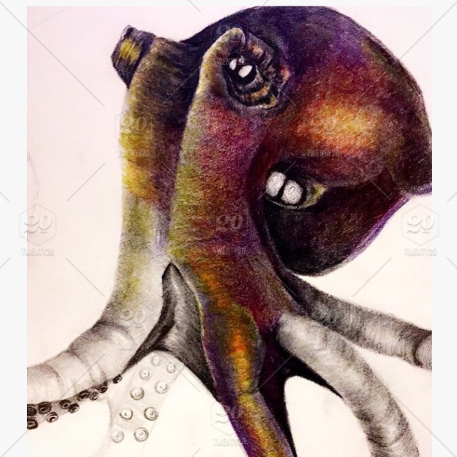 Detail Realistic Pencil Octopus Drawing Nomer 34