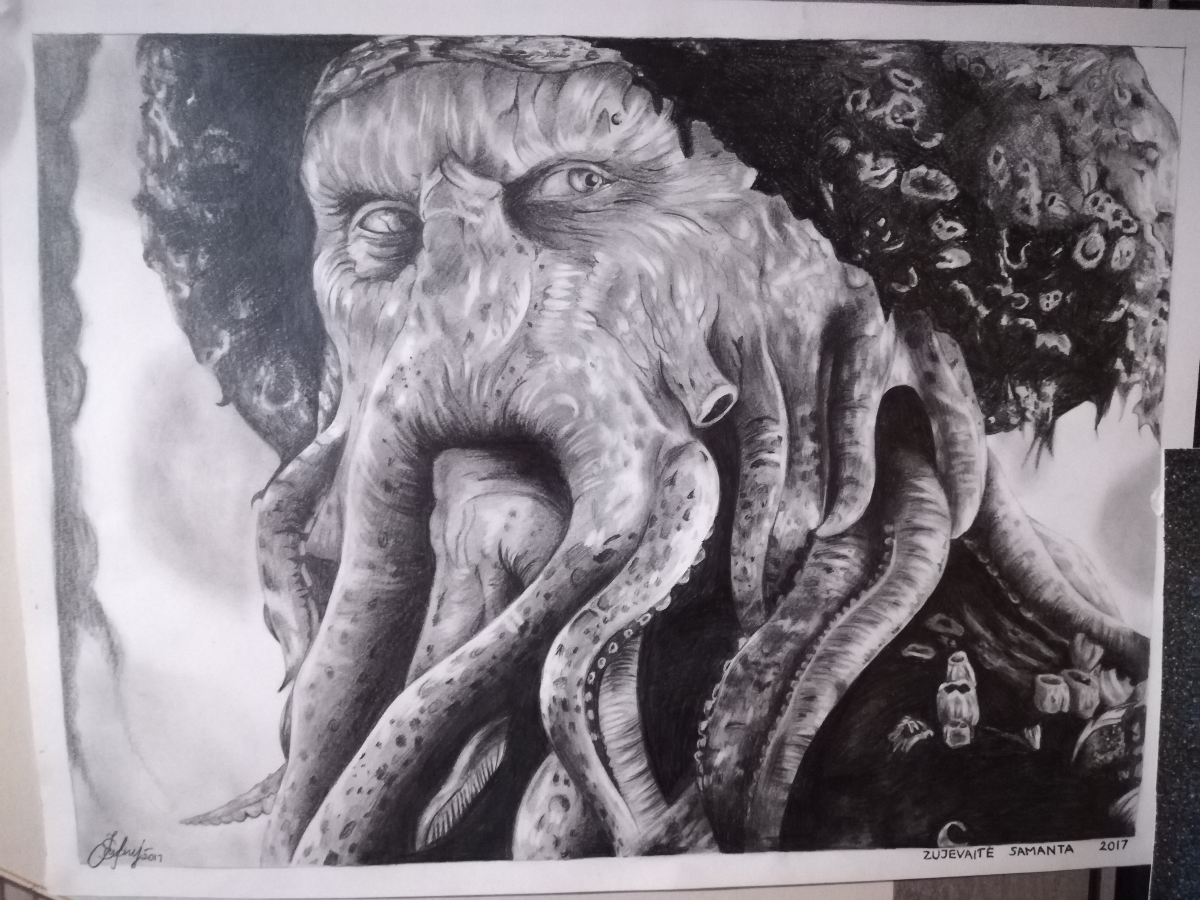 Detail Realistic Pencil Octopus Drawing Nomer 42