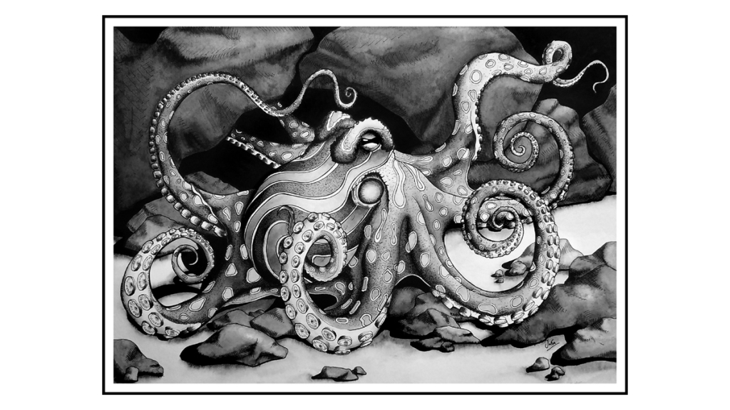 Detail Realistic Pencil Octopus Drawing Nomer 48