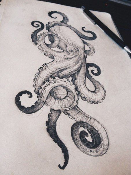 Detail Realistic Pencil Octopus Drawing Nomer 5