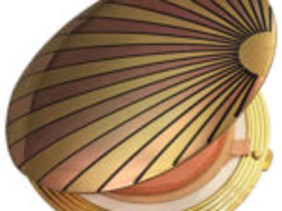 Detail Realistic Rose Design Mirror Compacts Nomer 28