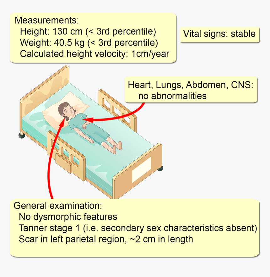 Detail Realistic Scar Png Nomer 50