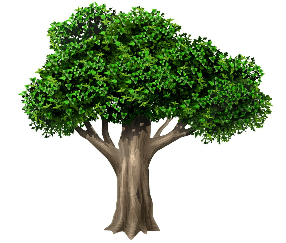 Detail Realistic Tree Clipart Nomer 7