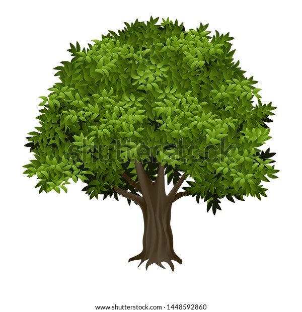 Detail Realistic Tree Clipart Nomer 10