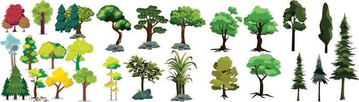 Detail Realistic Tree Clipart Nomer 13
