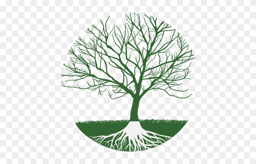 Detail Realistic Tree Clipart Nomer 19