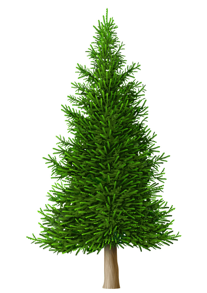 Detail Realistic Tree Clipart Nomer 28