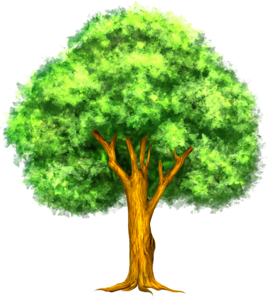 Detail Realistic Tree Clipart Nomer 31