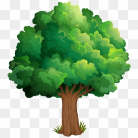 Detail Realistic Tree Clipart Nomer 33