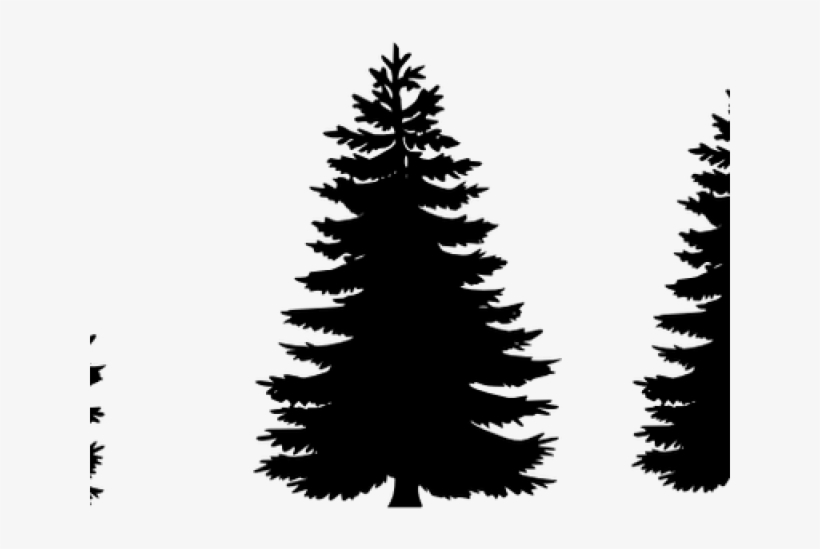 Detail Realistic Tree Clipart Nomer 35