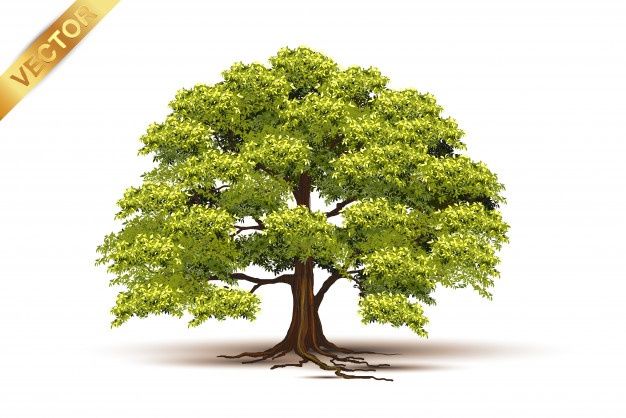 Detail Realistic Tree Clipart Nomer 41