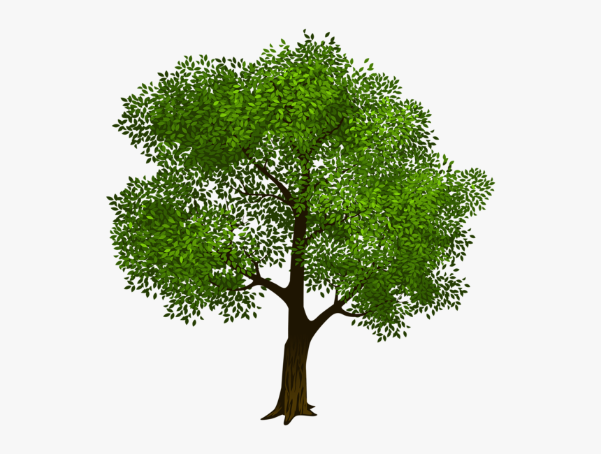 Detail Realistic Tree Clipart Nomer 4
