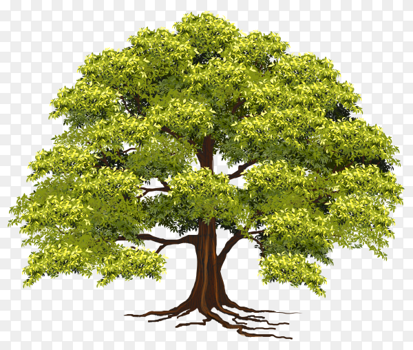 Detail Realistic Tree Png Nomer 21