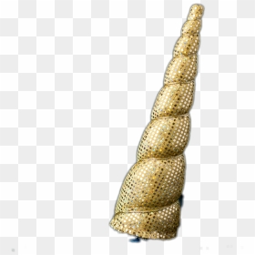 Detail Realistic Unicorn Horn Png Nomer 4