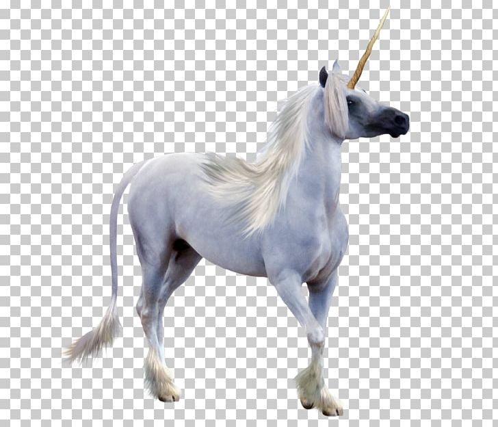 Detail Realistic Unicorn Horn Png Nomer 44