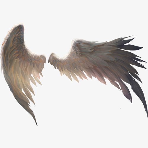 Realistic Wings Png - KibrisPDR