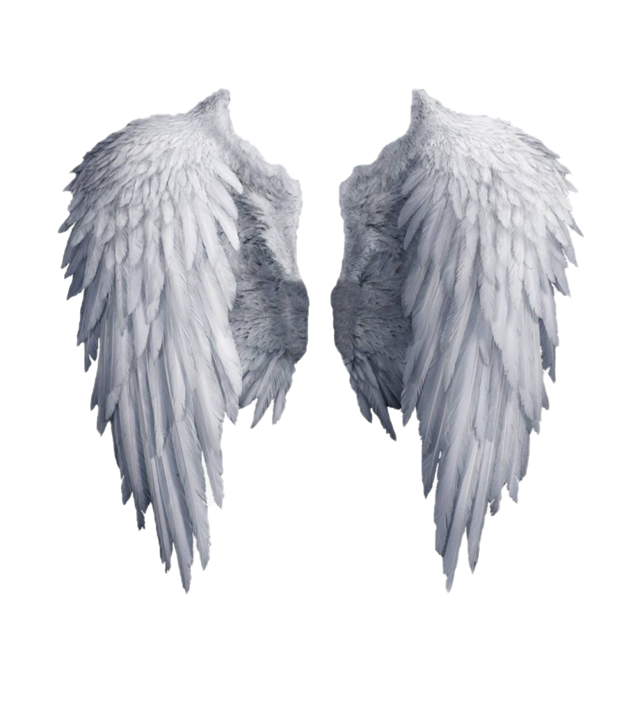 Detail Realistic Wings Png Nomer 2