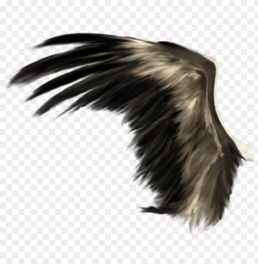 Detail Realistic Wings Png Nomer 9