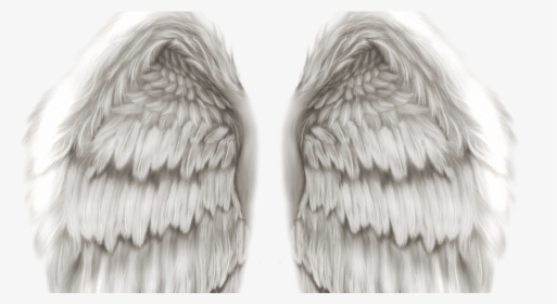 Detail Realistic Wings Png Nomer 11