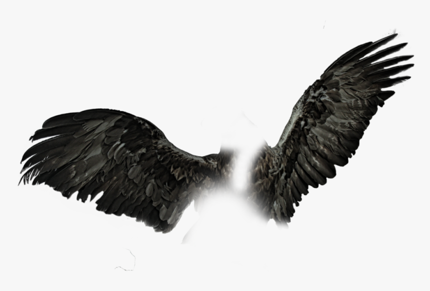 Detail Realistic Wings Png Nomer 15