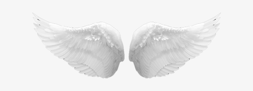 Detail Realistic Wings Png Nomer 19