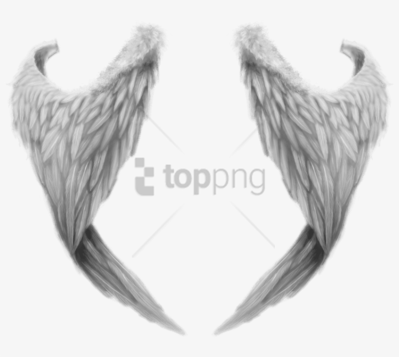 Detail Realistic Wings Png Nomer 23