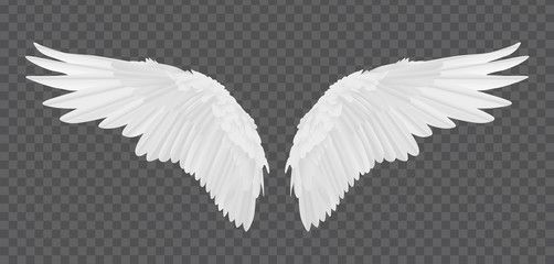 Detail Realistic Wings Png Nomer 27