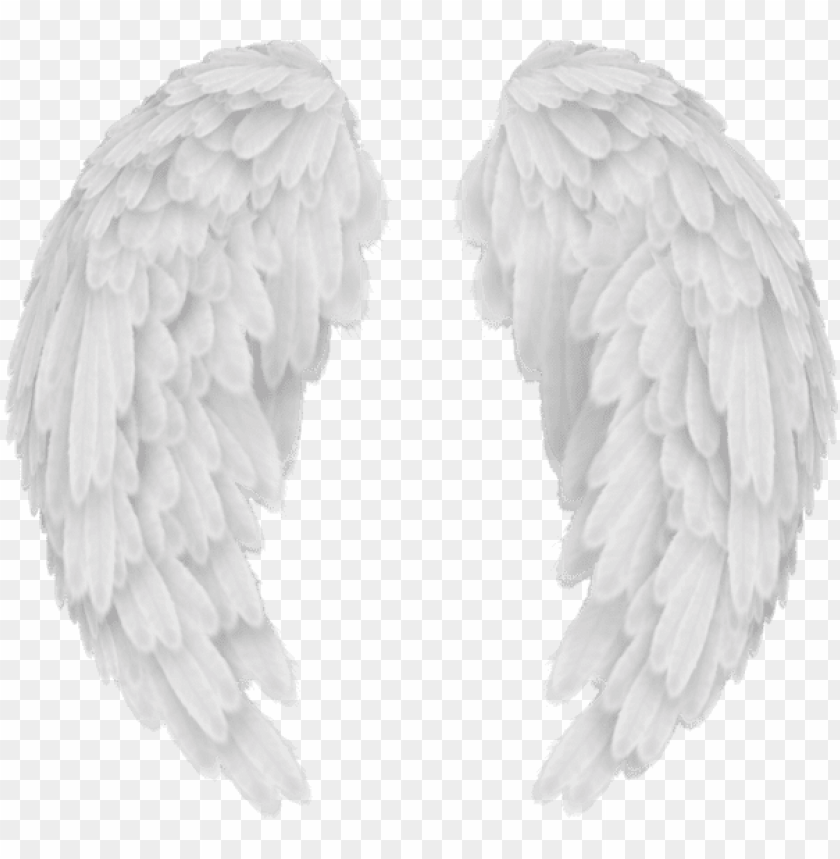 Detail Realistic Wings Png Nomer 33