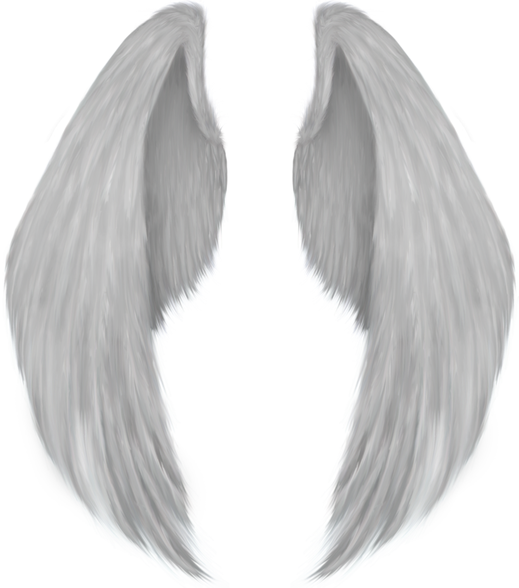 Detail Realistic Wings Png Nomer 39