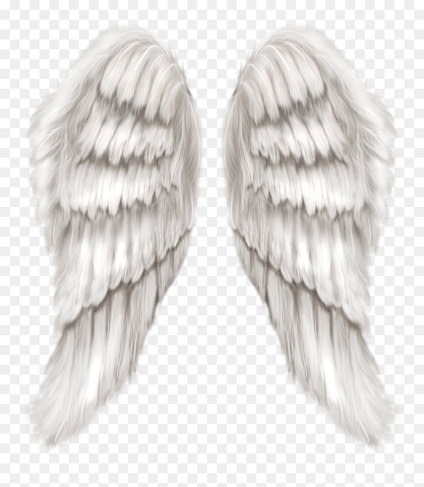 Detail Realistic Wings Png Nomer 8