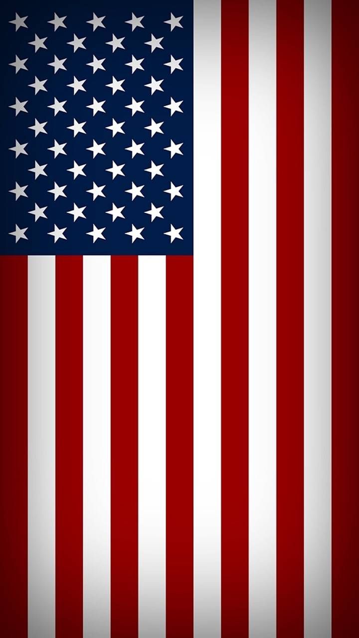 Detail Rebel Flag Screensaver Download Nomer 43