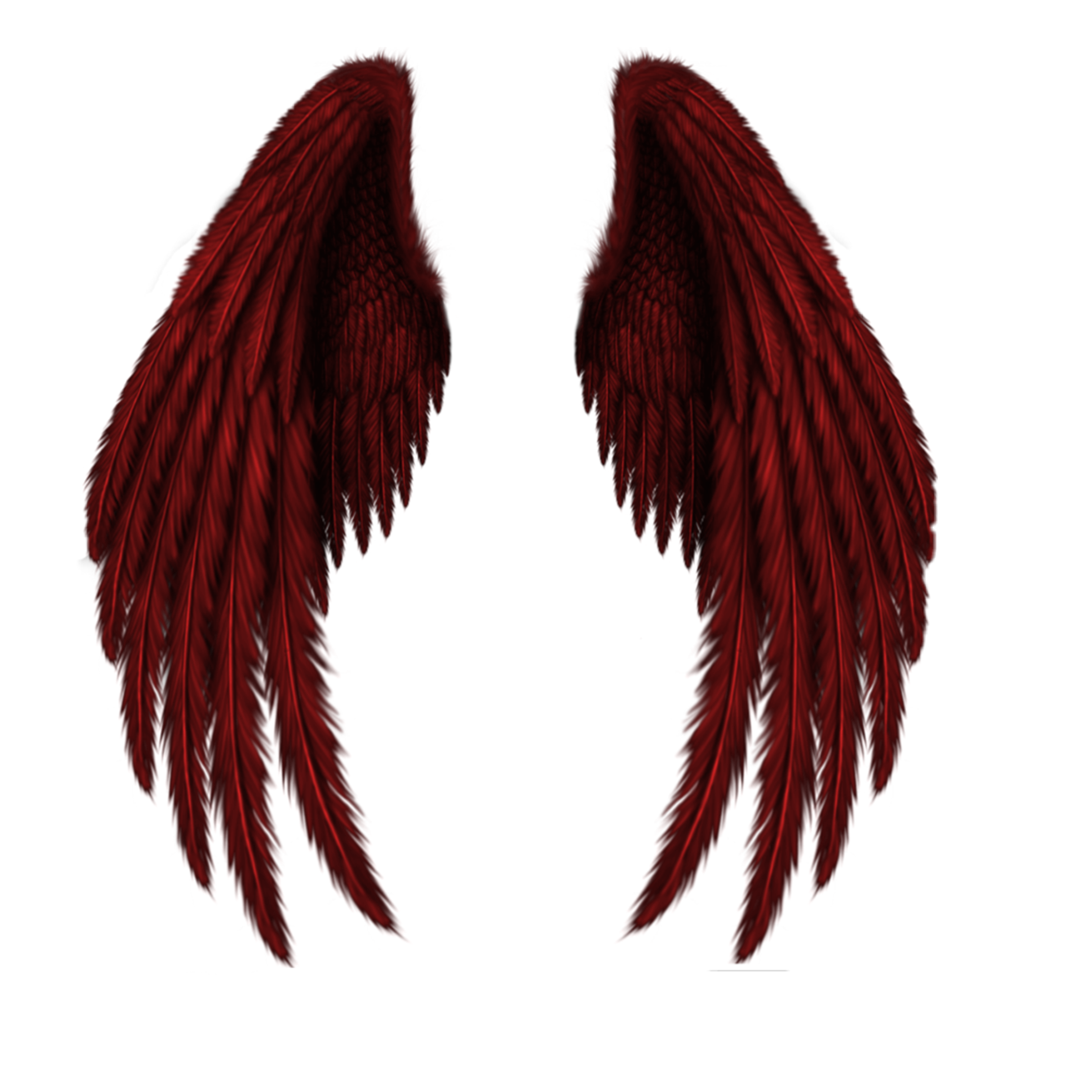 Red And Black Angel Wings - KibrisPDR