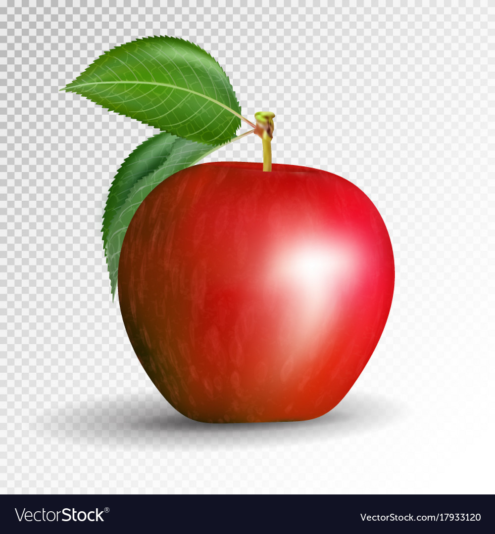 Detail Red Apple Transparent Background Nomer 11