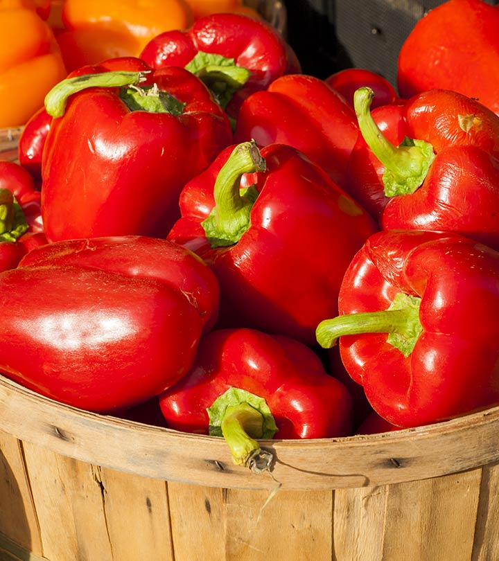 Detail Red Bell Pepper Picture Nomer 26