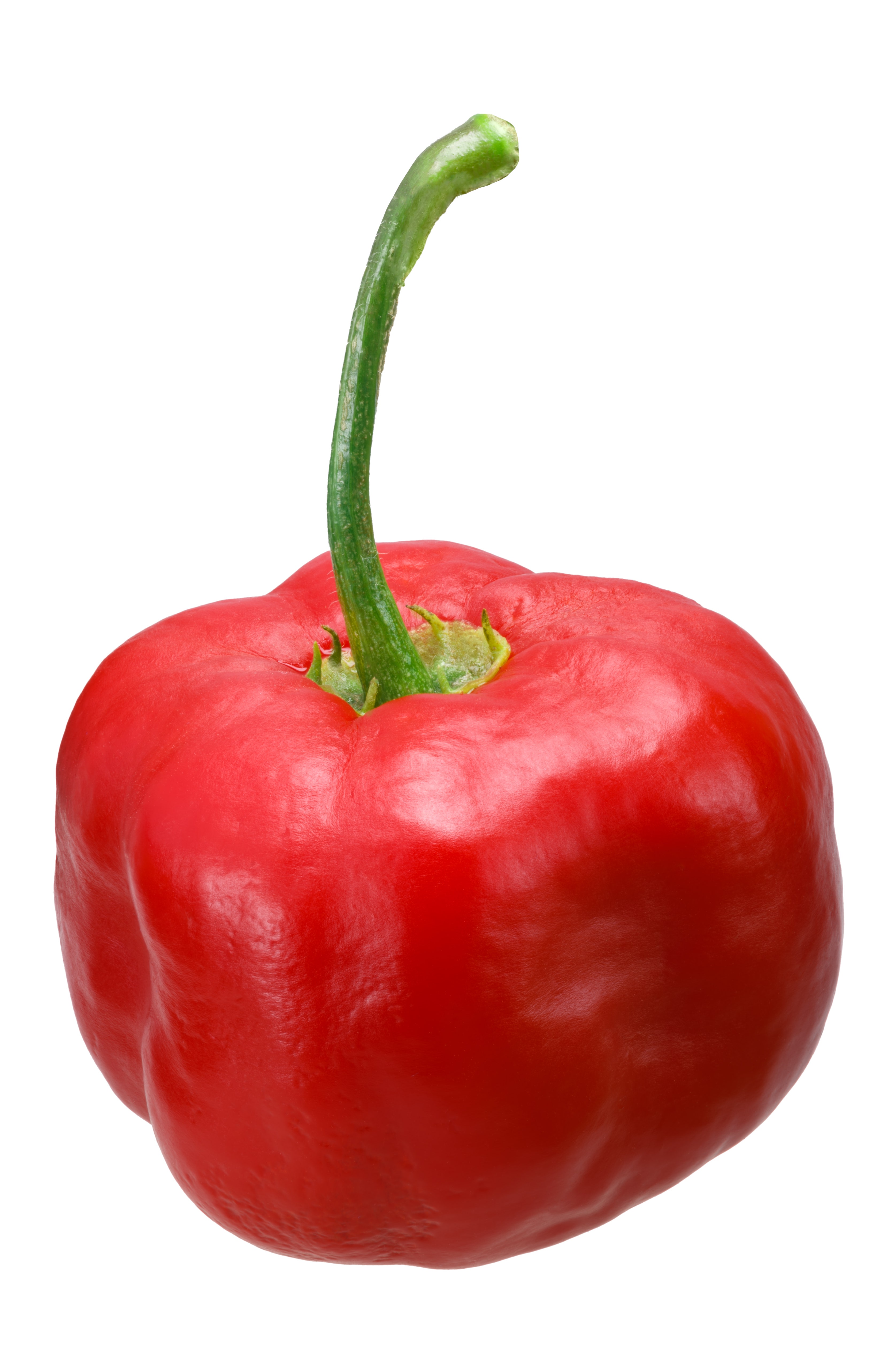 Detail Red Bell Pepper Picture Nomer 9