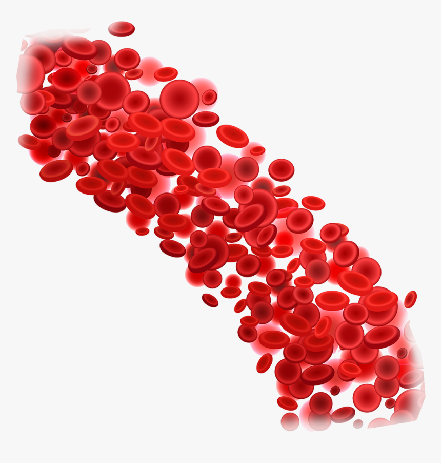 Detail Red Blood Cells Png Nomer 18
