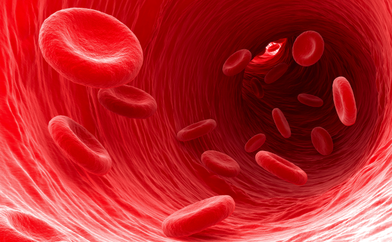 Detail Red Blood Cells Png Nomer 20