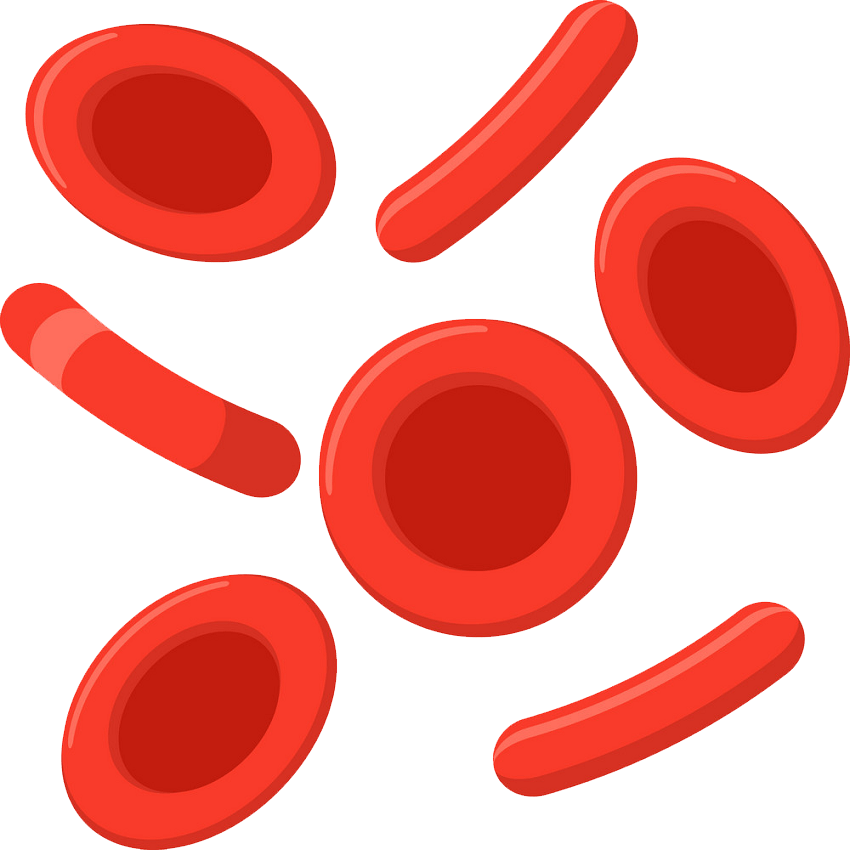 Detail Red Blood Cells Png Nomer 28