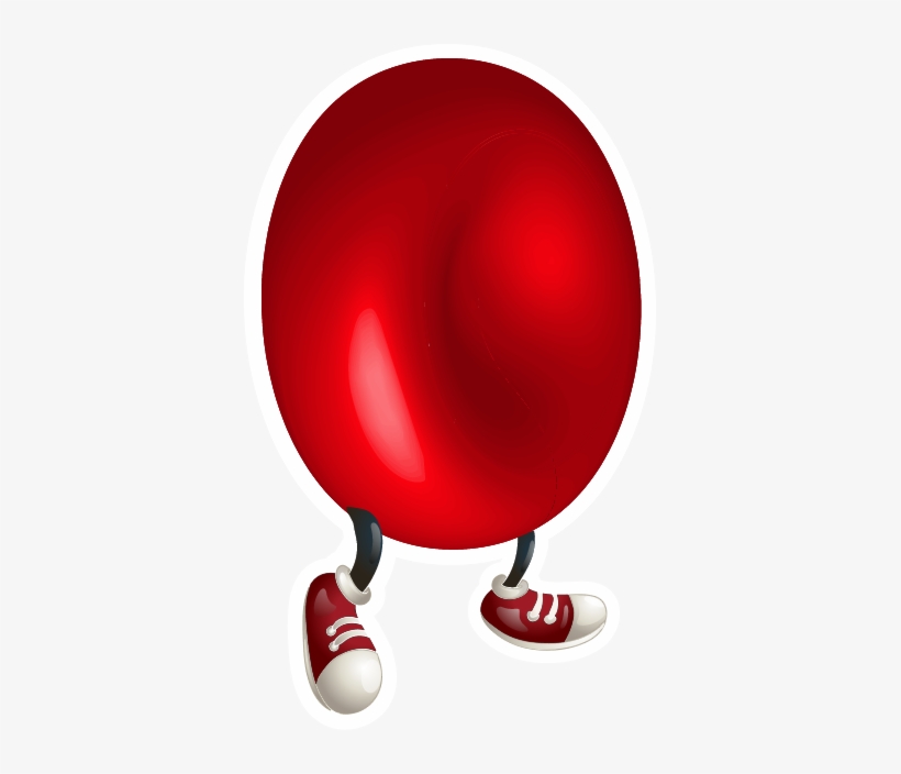 Detail Red Blood Cells Png Nomer 36